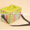 Mini picnic cooler aluminum bag customized