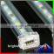RGB 5050 led strip light 60LEDs/m, DC12V 24V led strip light