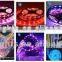 CE RoHS for high brightness RGB LED Strip