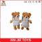 custom animals plush teddy bear toys plush keychain
