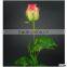 Long stem glass flowers The Tea Roses on sale