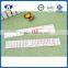 Hot Selling 30cm Double Side Plastic Ruler Style With Nutcracker Ruler for Measuring Waist