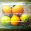 disposable plastic tray for Fruit and vegetable