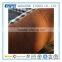 Yintex Soft Cute Pet Bed