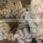 Seagrass Raw Material - QQ : 2598494113