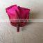 wholesale real natural preserved roses everasting roses preserve flower