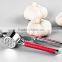 Professional Garlic Crusher ,Ginger Crusher with Silicone Garlic Peeler and Cleaning Brush