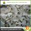 China wholesale champignon mushroom slices