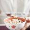 Japanese Ceramic High Quality Soup Bowl Rice Bowl