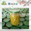 Material Can Packed Fresh French Beans With Factory Price
