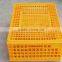 Plastic animal transport box for poultry chickens