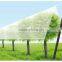 China Factory Plastic Anti Hail netting / Anti Hail Net