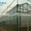 baolida low cost high performance glass Greenhouse