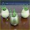 Environmental decoration magic egg shell flower plant pot without drainage holes