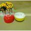 New Product colorful porcelain salad bowl