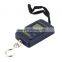 Free Shipping 40kg 10g Portable Mini Electronic Digital Scale Hanging Fishing Hook Pocket Weighing 20g Scale Hot Search