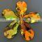 11*18mm Crystal Glass Flat Back Stone