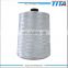 Polyester Embroidery Thread 120D/2 Raw White Bright Trilobal 1KG Dyed Tube