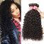 Double Wefts  Tangle free Indian Curly Human Hair For Black Women