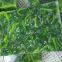 Frozen Spinach BQF Block
