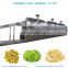 Automatic Gas/Multi-layer Conveyor Mesh Belt Dryer/tunnel food drying oven /machine for fruit and vegetable dry