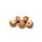 Special products betel nut with competitive price