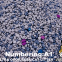 Quality Clumping Cat Litter Bentonite