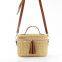 Paper Straw Shoulder Bag