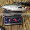 Whole round Grey mullet and mugil cephalus