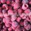 supply cheap and high quality Frozen Raspberry