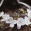 wedding bridal lily flower headband hair accessory for sale