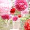 New Party Tissue Paper Pom Pom For Birthday
