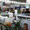 Polar-Jet digital printing machine for tshirts textile printer with factory price