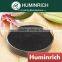 Huminrich Sea Weed Extract Organic Fertiliser Raw Matterial Sargasso Sources