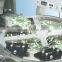 semi automatic capsule counting machine