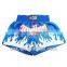 Muay Thai boxing trunks