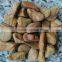 Pebbles for landscaping