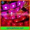 5V DC addressable programmable rgb 60leds lpd8806 led strip