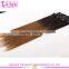 Made in China Silky Straight Two Tone Ombre Clip in Hair Extensions for White Women
