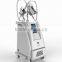 Guangzhou BL HOT SALE Vertical Spa Use Cryolipolysis Fat Freezing Weight Loss Machine for Sale