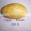 Price of Fresh Potato from Shandong Farmland