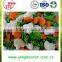 high quality frozen mixed vegetables PRODUCTS with competitive price from china