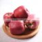 Red delicious variety and common cultivation type red delicious apple