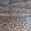 2015 New Crop Dried Thin Shell Xinjiang Origin Walnut in Shell