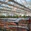 Venlo Tempered Glass/float Glass Greenhouse With Hydroponic Growing