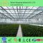 Greenhouse/Hydroponics Vegetative led grow light 60x3w grow lamps led Indoor Garden Grow Tent Used High Power