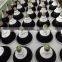 induction led lighting of smd led lights 18w epistar led grow light for flowering