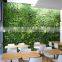 Boxwood Hedge Wall&Fence factory indoor/outdoor use fake grass wall