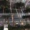 Artificial tall palm tree for airport public decoration