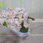 GNW BLB-CH1605013 Light pink christmas tree branch with cherry blossom